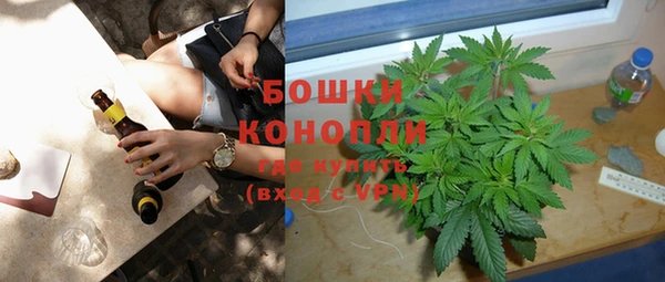 крисы Михайловск