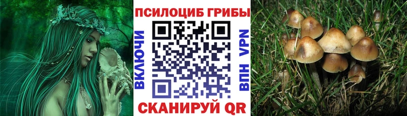 Псилоцибиновые грибы Psilocybine cubensis  Богданович 