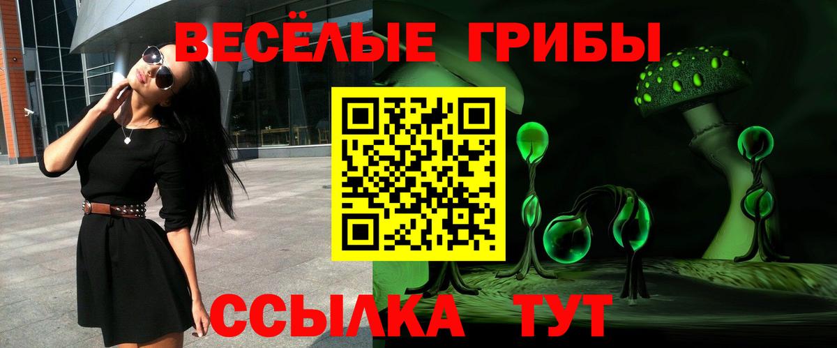 Богданович  Галлюциногенные грибы MAGIC MUSHROOMS  Вход с VPN  Псилоцибиновые грибы мухоморы 