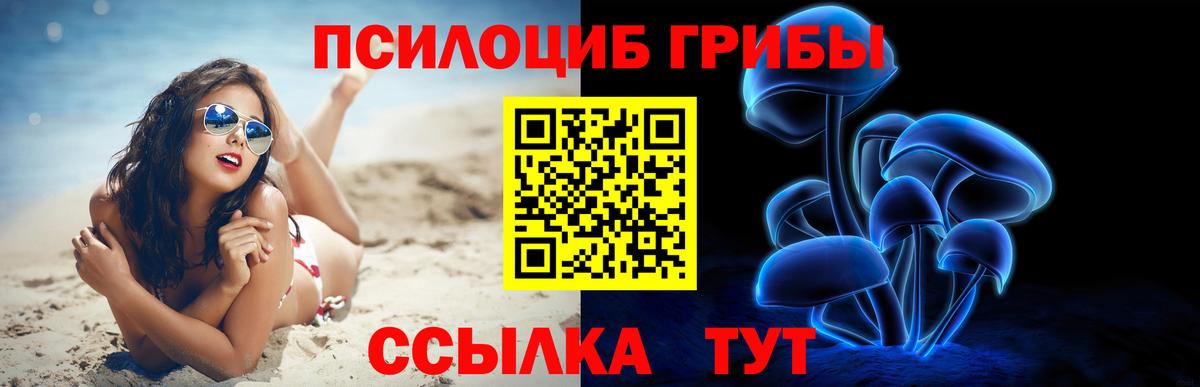 Псилоцибиновые грибы Magic Shrooms  даркнет сайт  Псилоцибиновые грибы Cubensis  Богданович 