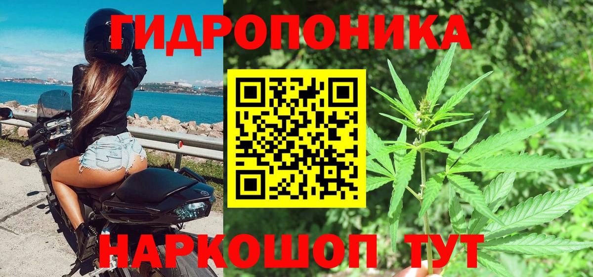 МАРИХУАНА Amnesia  Бошки Шишки сатива  Шишки марихуана сатива  Богданович  Шишки марихуана SATIVA & INDICA 